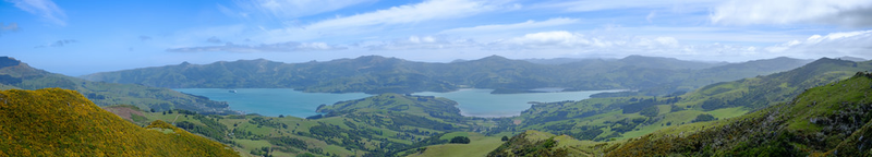 Illustration for article titled South Island road trip Panorama Dump